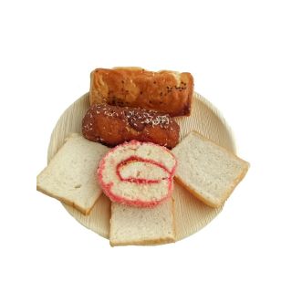disposable-plates-10inch