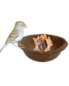 Coconut Coir Fibre Bird Nest For Small Birds Bowl Design great garden deco 2 Pk