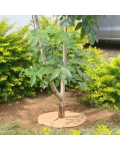 coir-mulch-mat