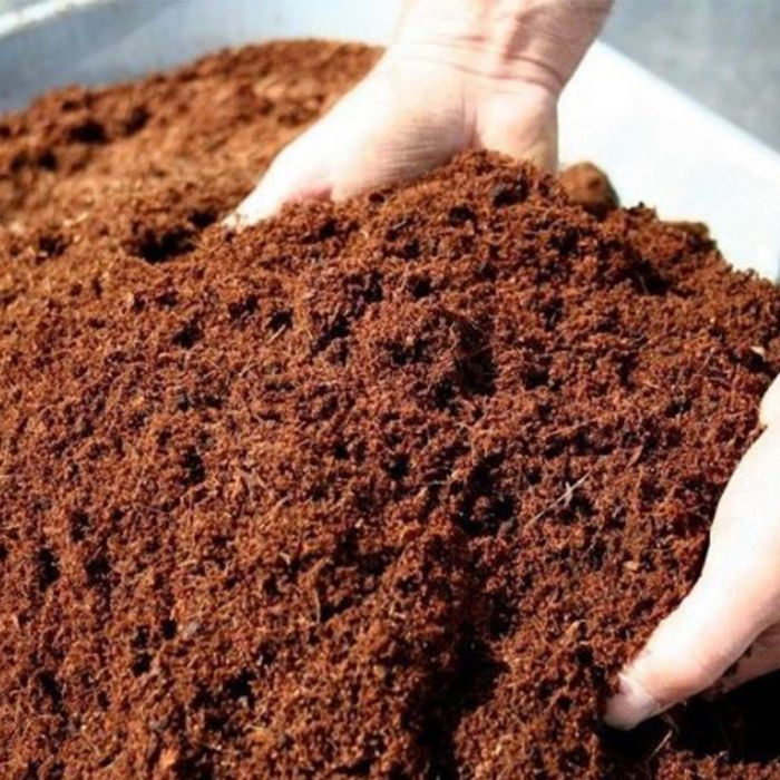 dart smog sød smag Buffered Coconut Coir Coco Peat Compost Organic Soil + Fertiliser Substrate  | Gijja