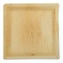 disposable-square-plate