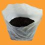 grow-bag-with-coco-peat