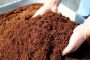 loose-coco-peat