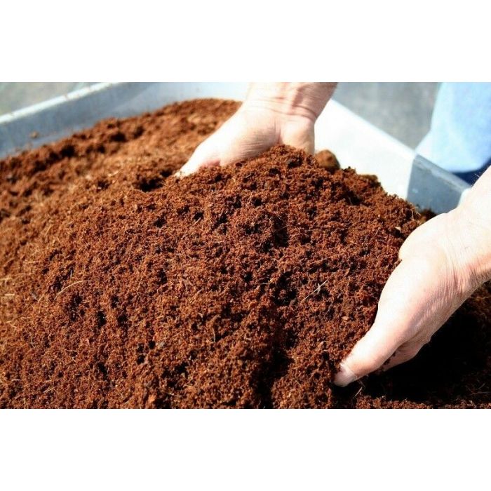 Coco PeatcoirHydroponicCoconut FiberGrowing Media organic soil 